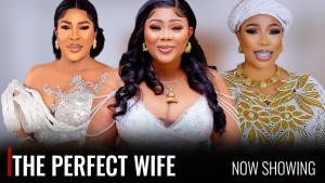 THE PERFECT WIFE