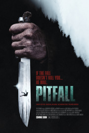 Pitfall[CAM]