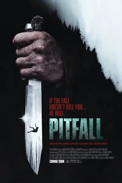Pitfall[CAM] poster