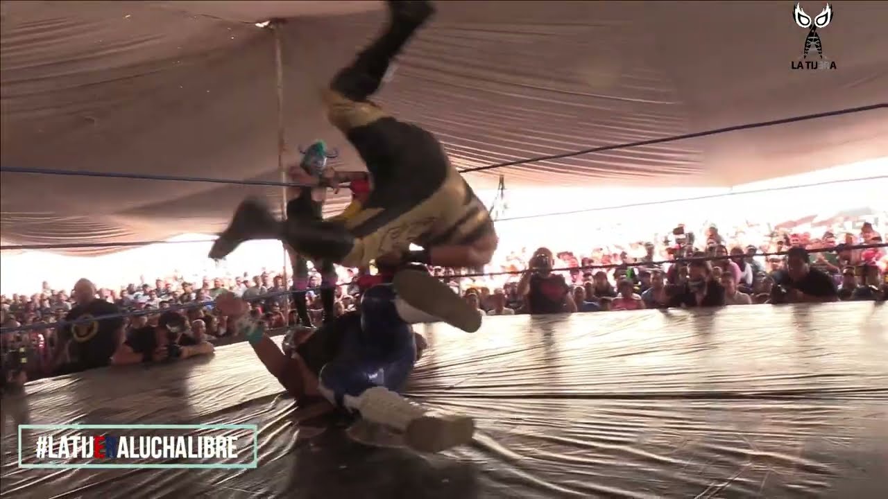 Minotauro, Alas de Fuego y Dankar π Calibos, Perla Negra y Conquistador Cortes π Ikaro, P. Airam y A backdrop