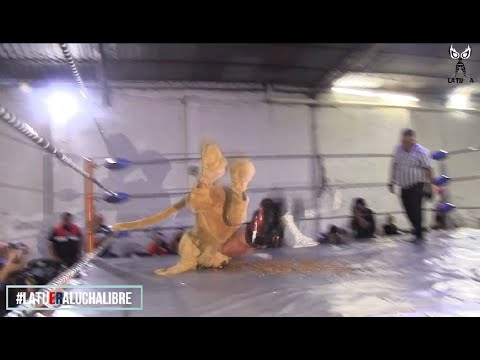 Wisin el Dog, Nativo y Jitsu Vs Shere Khan, Jerry Calavera y Glenn Calavera con VikMask backdrop