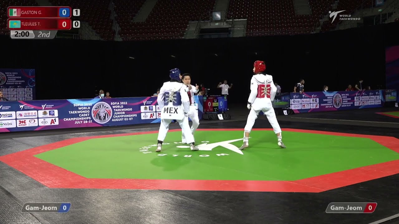 430 Quarter final Men 51kg MEX GASTON G KAZ TLEULES T background