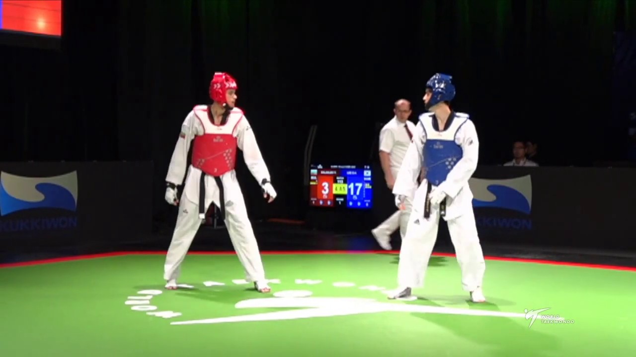 2019 Sofia WT GP R16 Dae Hoon Lee KOR vs Dalakliev V. BUL background
