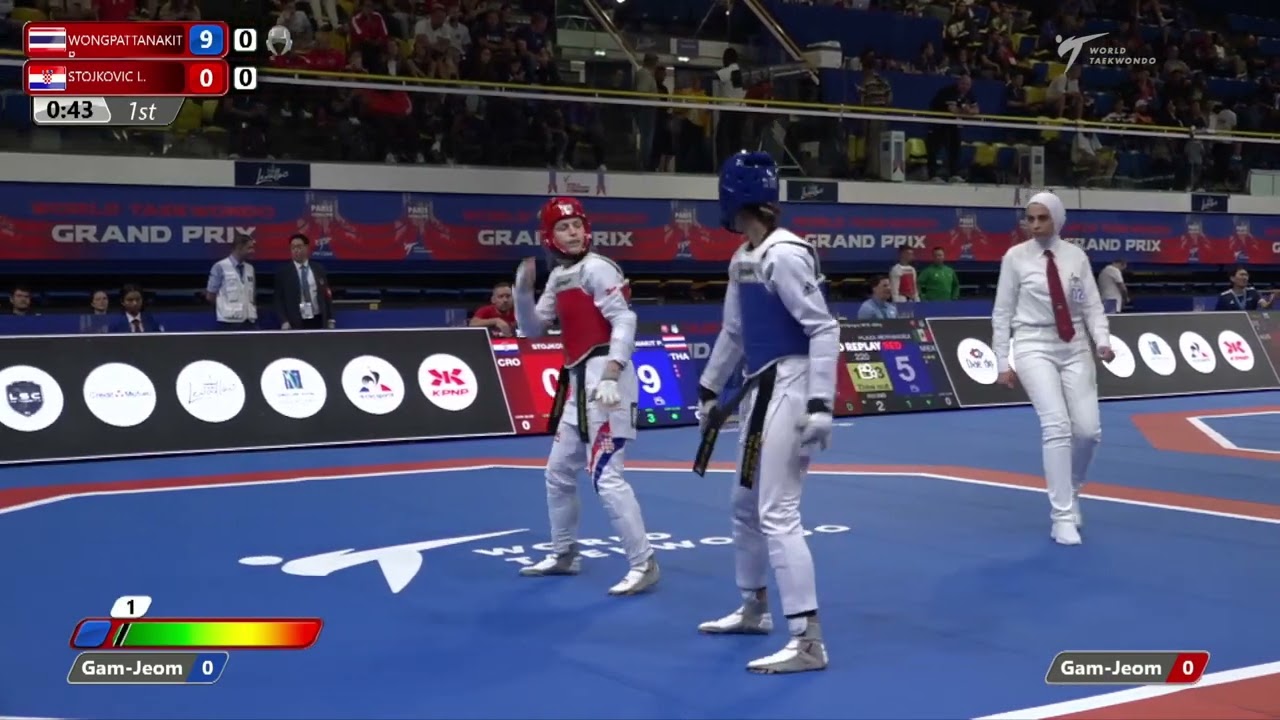 122 QF W 49kg THA WONGPATTANAKIT P CRO STOJKOVIC L 1 | Paris 2022 World Taekwondo Grand-Prix background