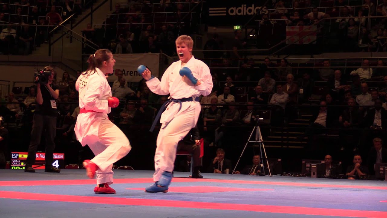Laura PALACIOS vs Nikola BARTHA, bronze medal combat. 2014 World Karate Championships background