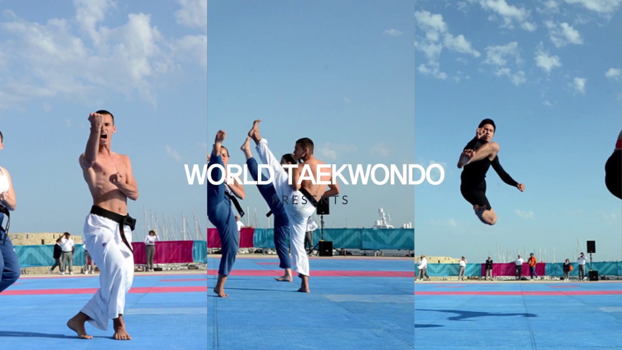 A Year in Taekwondo 2017