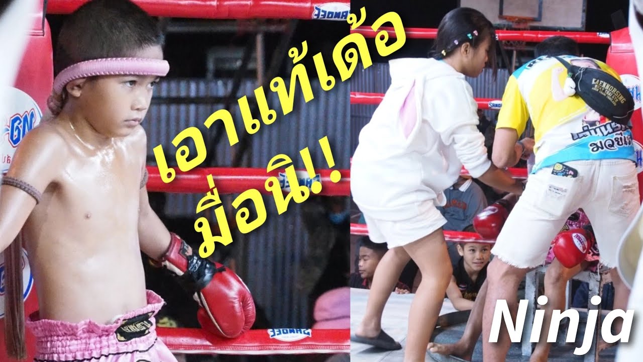 นินจาแก้มือทำได้แค่เสมอ NinjaVSPetchPayu3! นินจา ปะทะ เพชรวายุ3!ムエタイ試合Muay Tha Fight! iニンジャ!!! background