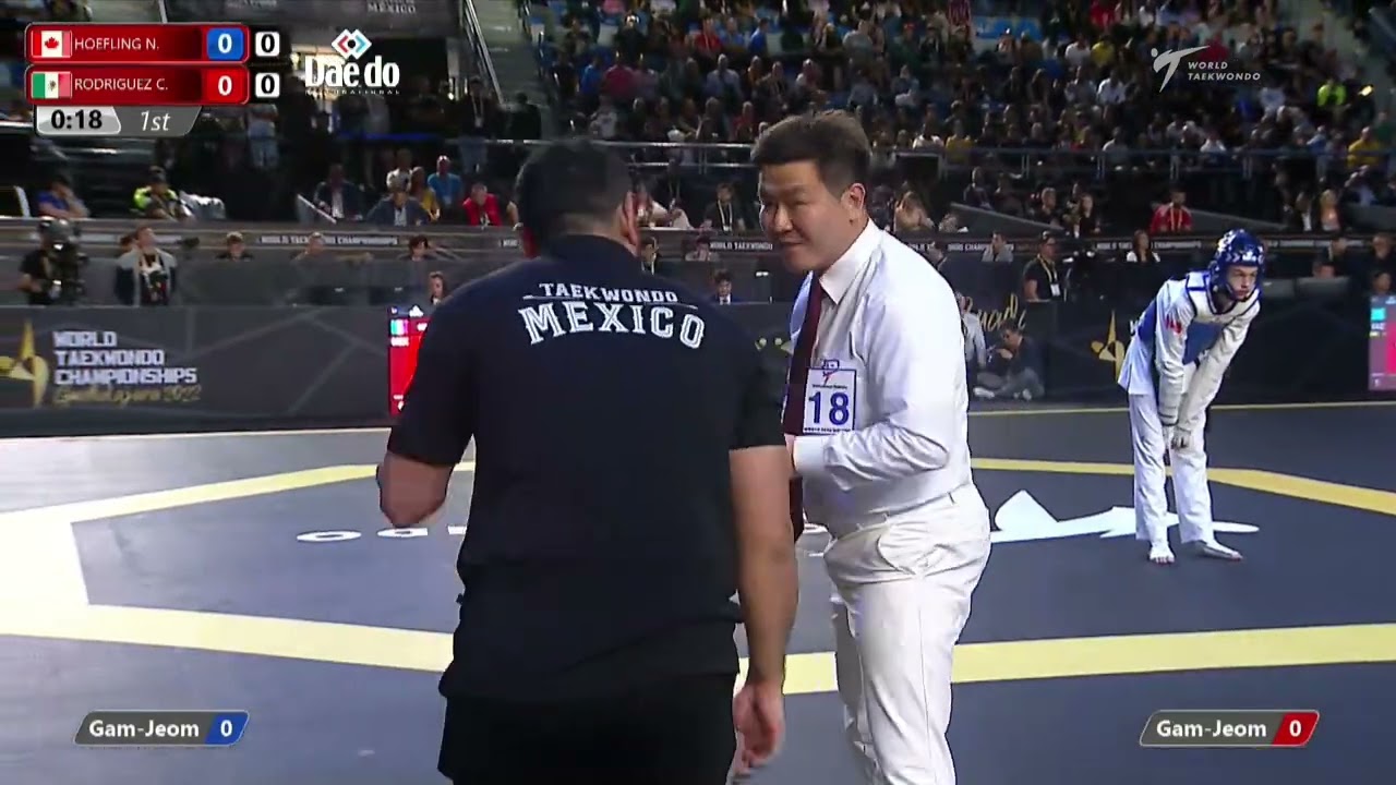 418 M-54kg QF HOEFLING Nicholas CAN 🔵 vs 🔴 RODRIGUEZ Cesar MEX I Guadalajara 2022 WT Championships