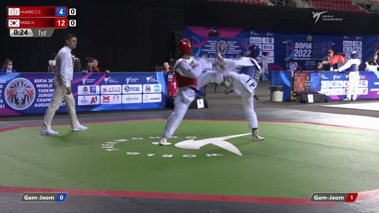 131 Quarter final Men 51kg TPE HUANG C C KOR YANG H background