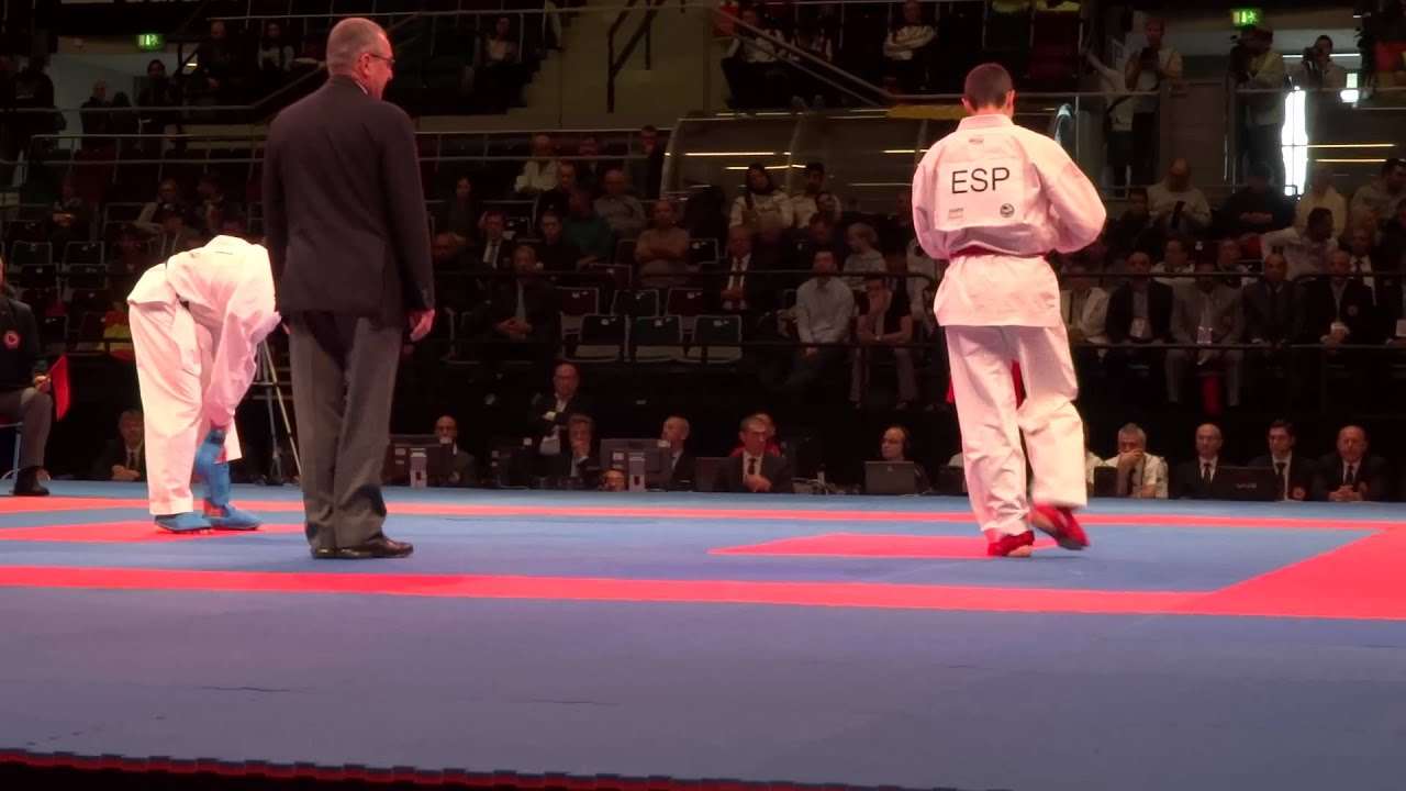 BAJRAMI KUJTIM vs RASERO_RUIZ MANUEL Male Kumite -67kg Bronze - 2014 World Karate Championships background
