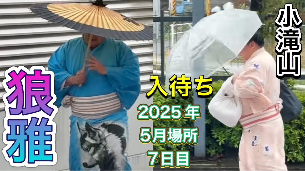 速報❗️入待ち 番傘姿の狼雅&笑顔の小滝山☂️ 【大相撲令和7年5月場所】7日目 2025/5/17 ROGA KOTAKIYAMA background