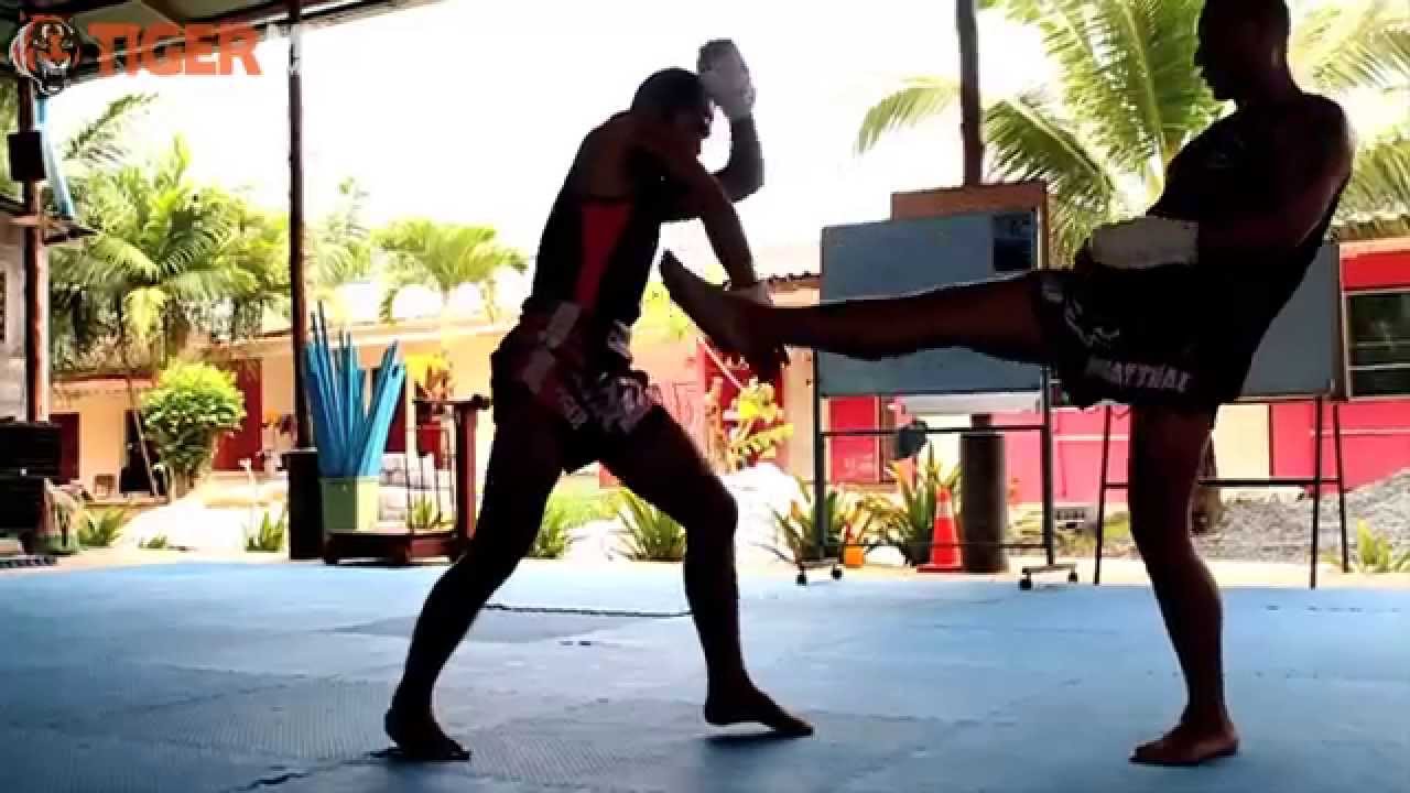 The Traditional Martial Art: Muay Boran Class background