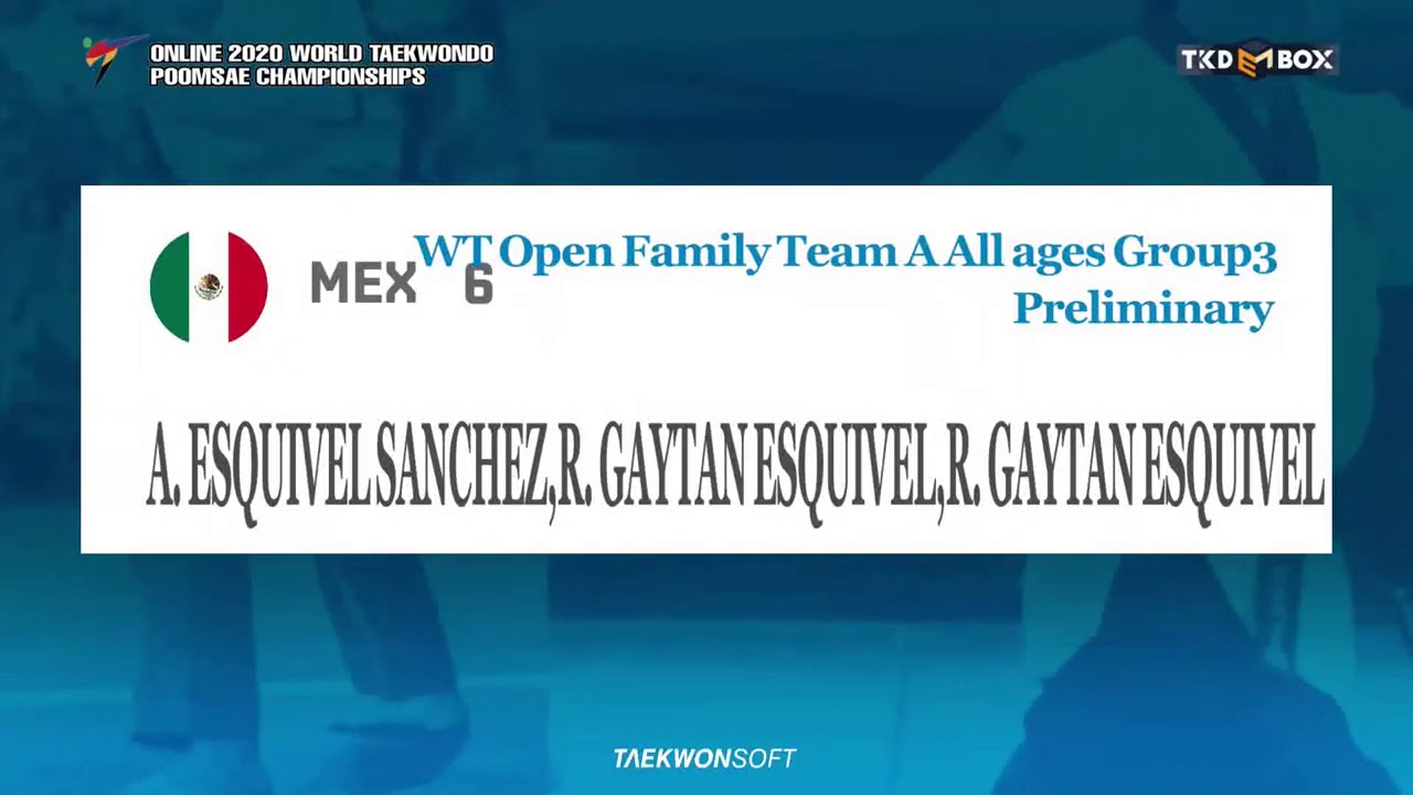 Family Team A Preliminary Group 3 background