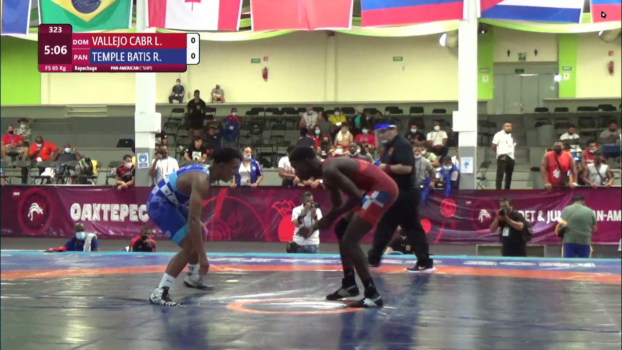 Repechage FS - 65 kg: L. VALLEJO CABR (DOM) v. R. TEMPLE BATIS (PAN)