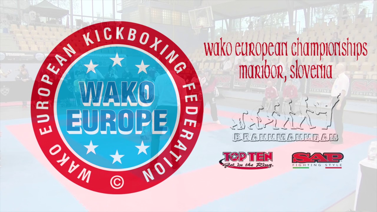 Peter Vigh v Jan Larsen WAKO European Championships 2018 background