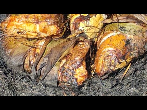 cá trắm cuốn lá riềng hun trấu cực ngon. background