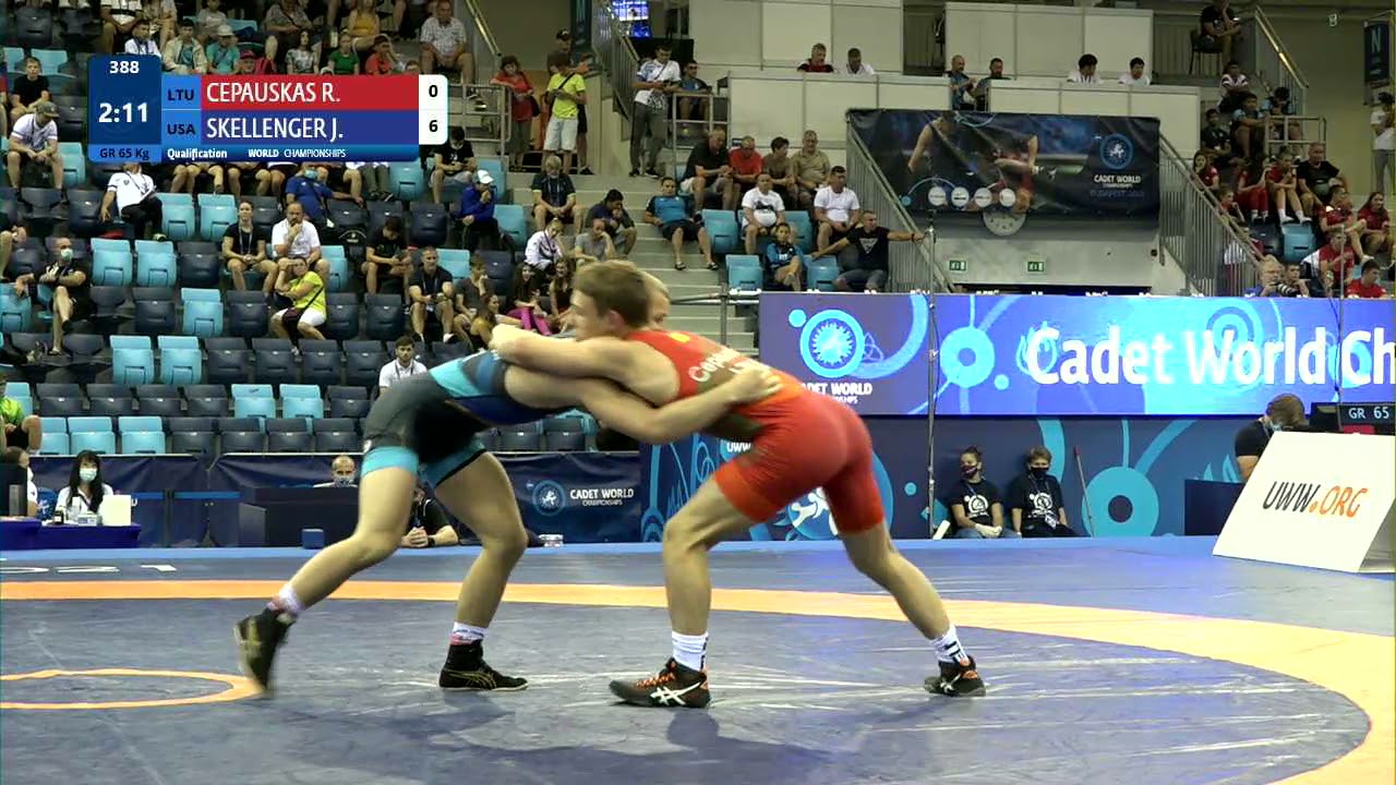 Qual. GR - 65 kg: R. CEPAUSKAS (LTU) v. J. SKELLENGER (USA) background