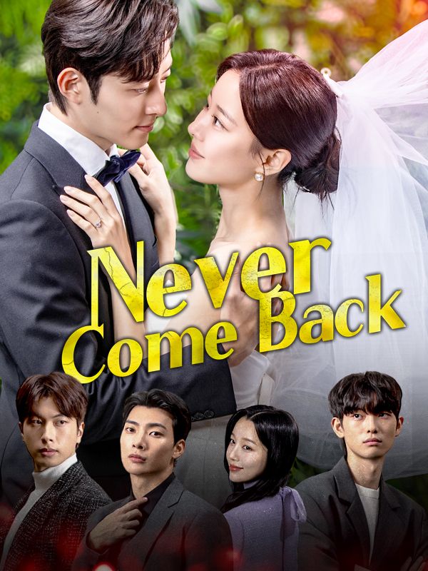 Never Come Back (DUBBED) poster