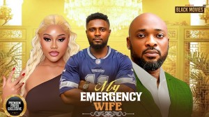 MY EMERGENCY WIFE