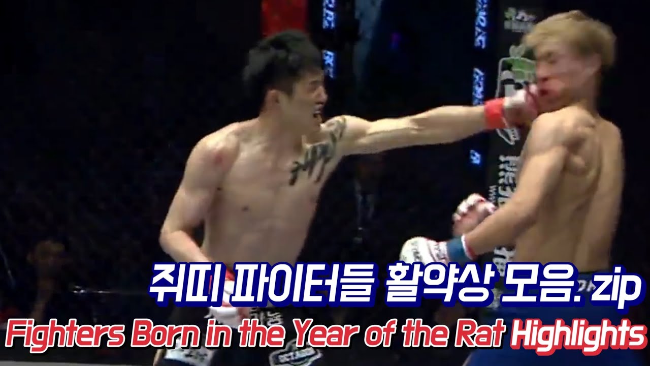 경자년 맞이 쥐띠 파이터들 활약상 모음.zip / Fighters Born in the Year of the Rat - Highlights backdrop
