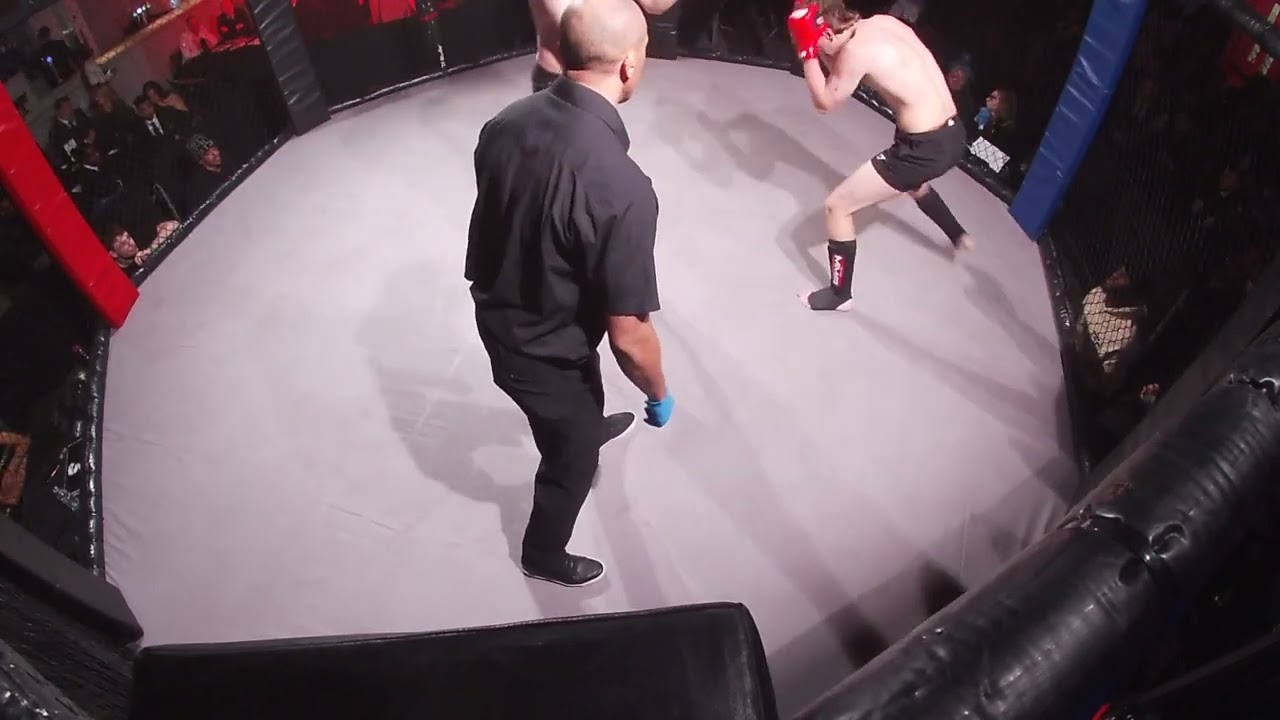 Birmingham | Ultra MMA | Alexander Wain VS Adrian Bober background