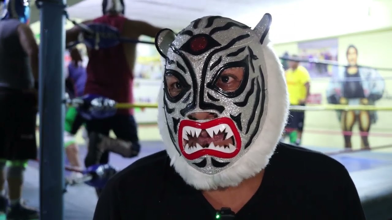 Ojo de Tigre: Profesor de la vieja guardia, Cibernético llegó aqui primero, el “luchador molero”