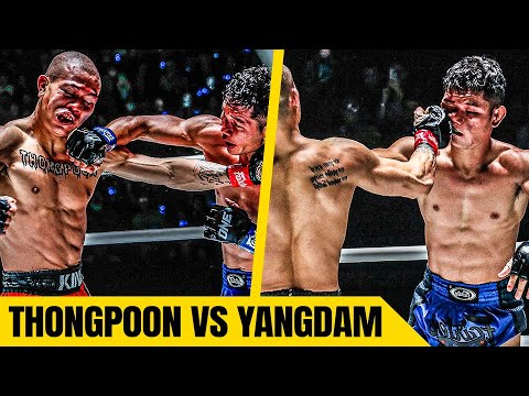 How Did They Stay On Their Feet?! ๐ฑ Thongpoon vs. Yangdam background
