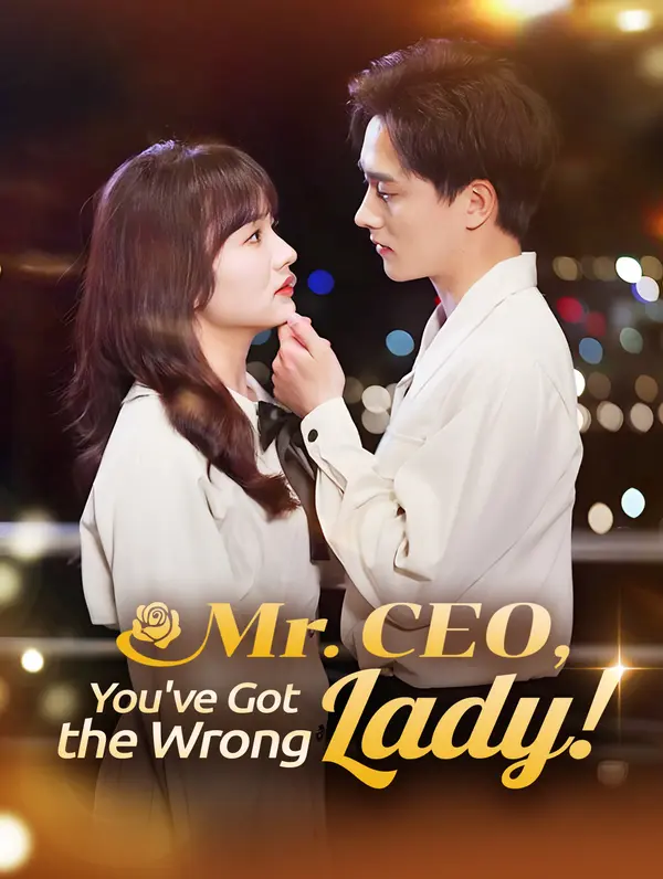 Mr. CEO, You've Got the Wrong Lady! poster