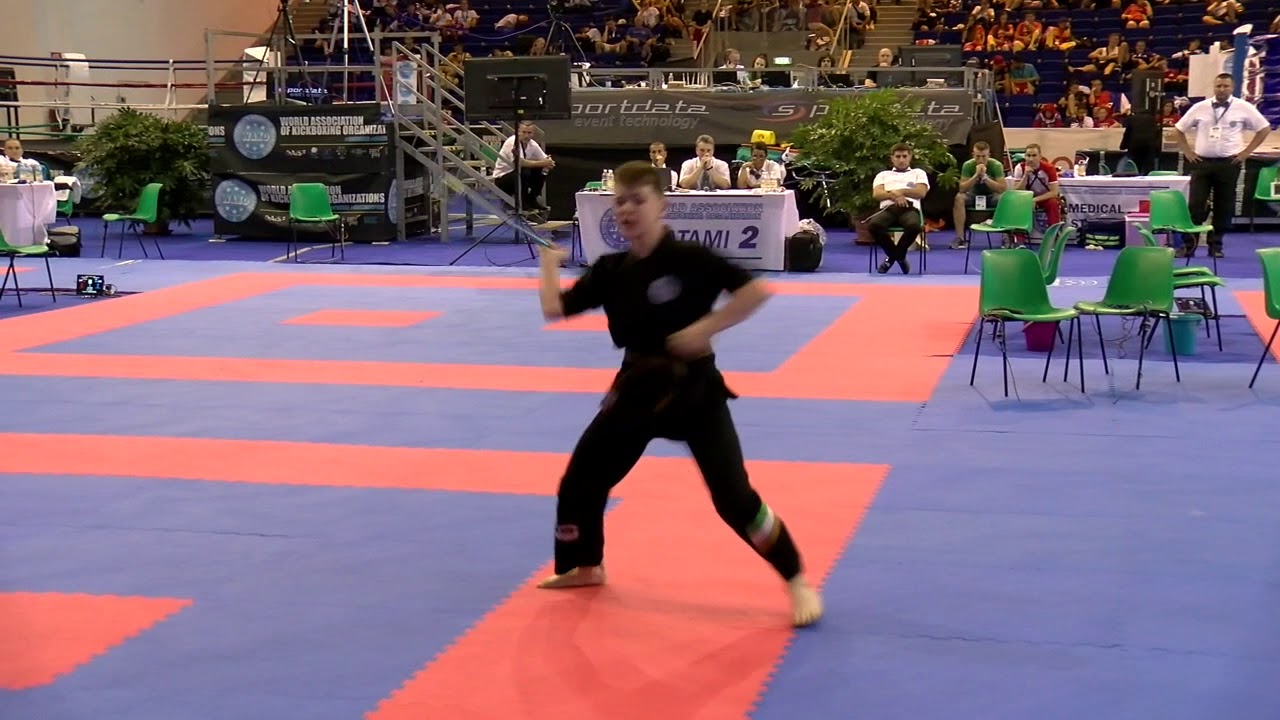 Ryan Del Duca Weapons WAKO World Championships 2018 background