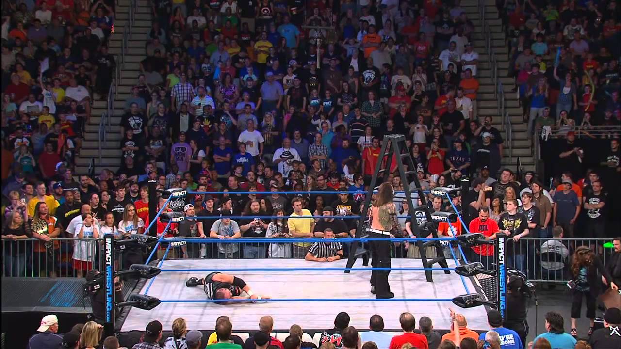 Ladder Match: Jeff Hardy vs Bully Ray - June 6, 2013