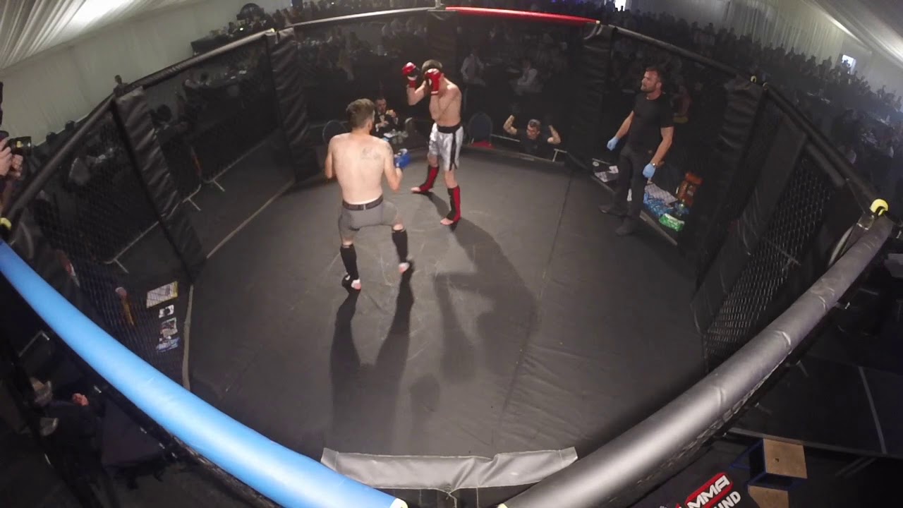 Ultra MMA | Ashford Gillingham | James Reed VS Brad Godden