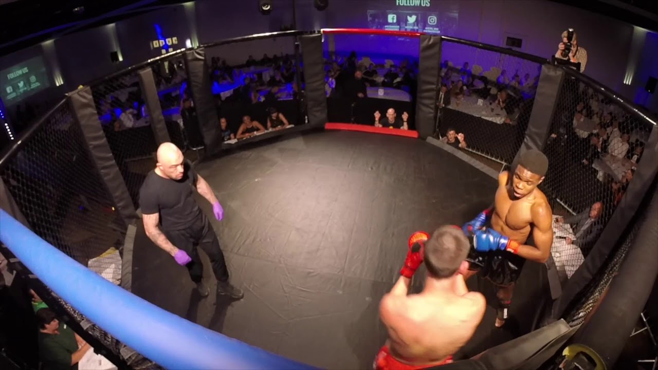 Ultra MMA | Birmingham | Luke Haywood VS Emmanuel Lawal background
