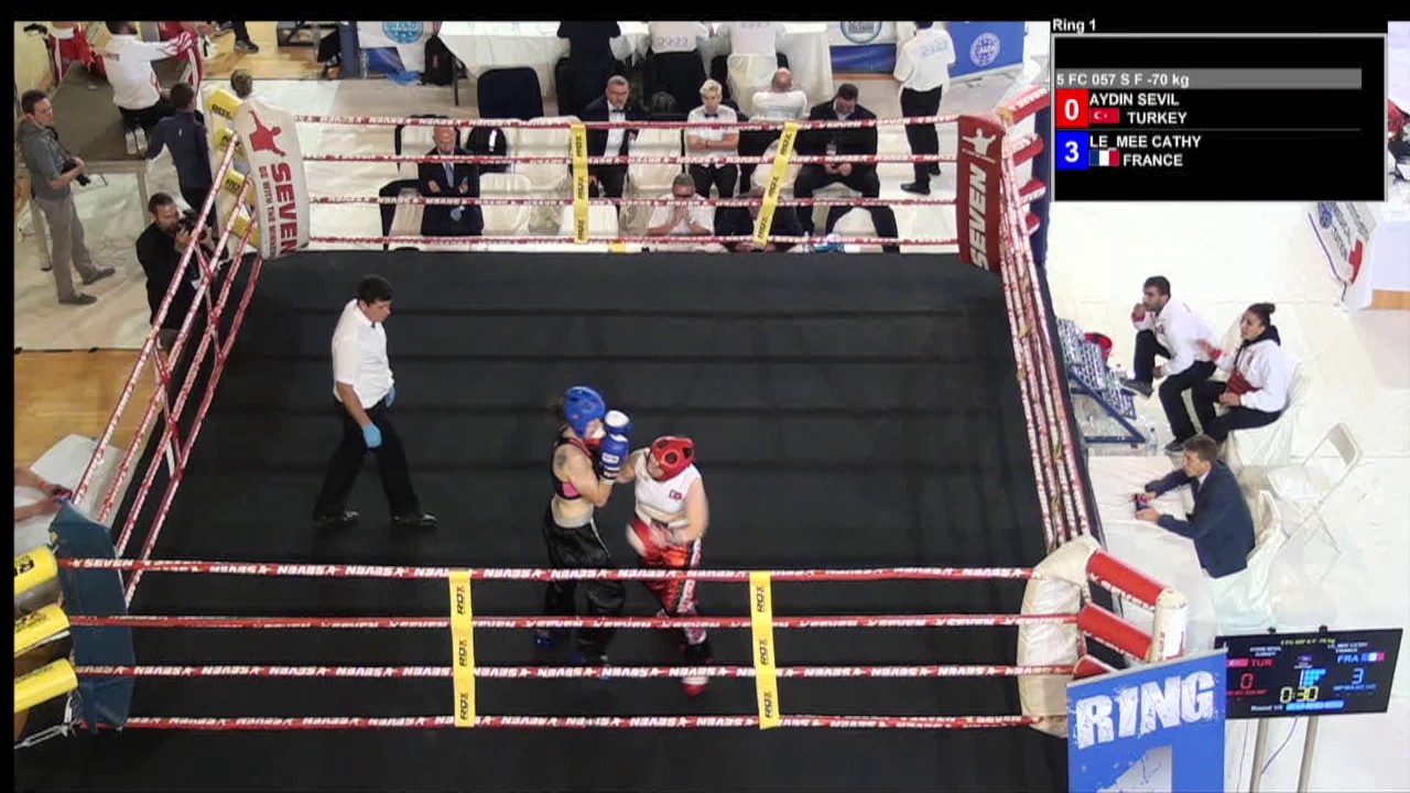Sevil Aydin v Cathy Le Mee WAKO European Championships 2016