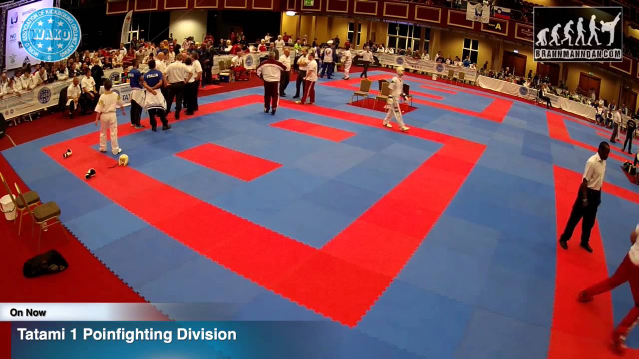 Tatami 1 Wako World Championships 2015, Dublin, 25/11/15 background