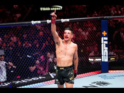 UFC Primera Temporada 2024