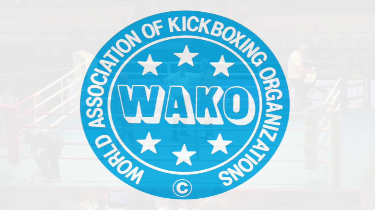 Bruno Gazani (BRA) v Bogdan Shumarov (BUL) IWGA 2017