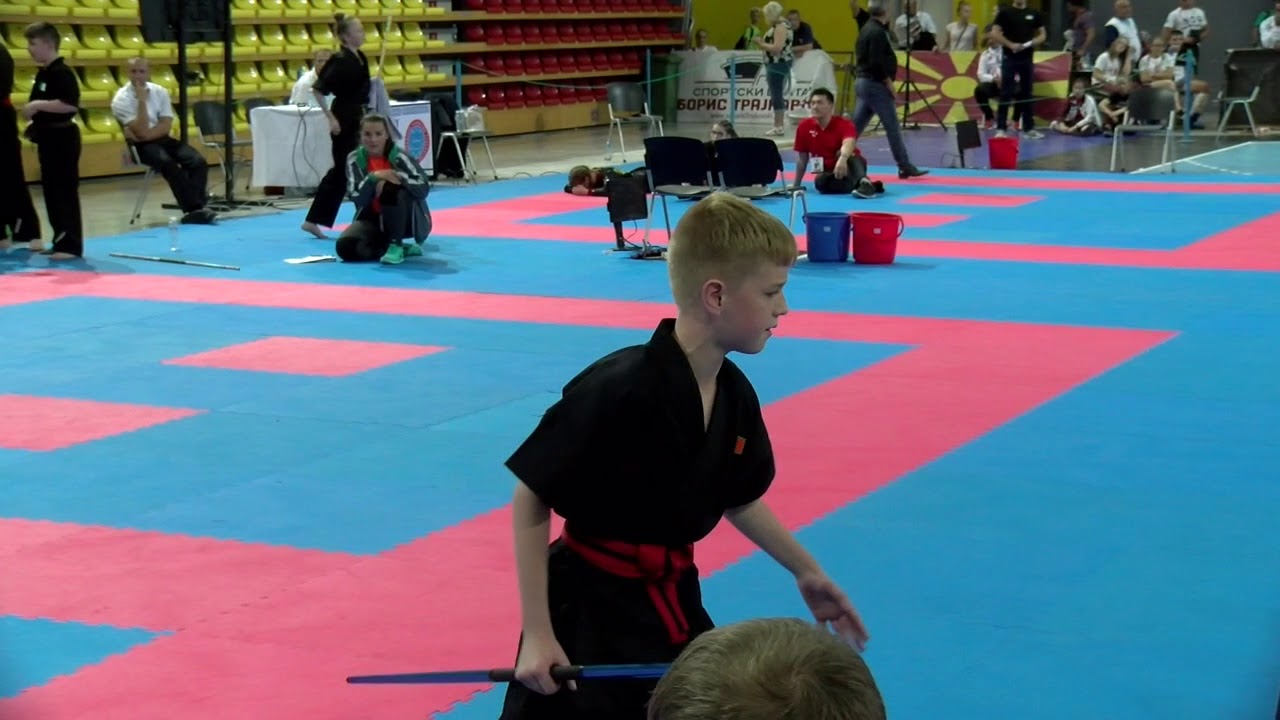 Ben Hennesay Weapons WAKO European Championships 2017 background