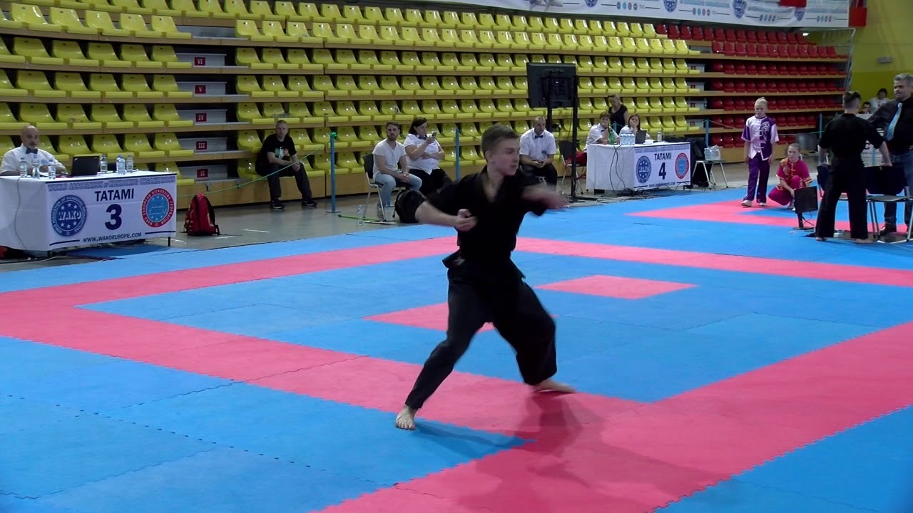 Egor Chizov WAKO European Championships 2017 background
