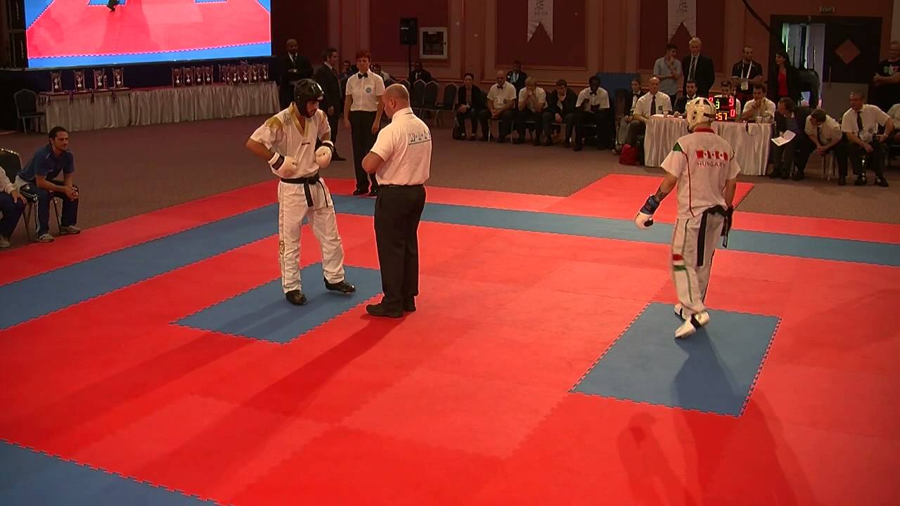 Adriano Passaro v Richard Veres WAKO World Championships 2013 backdrop
