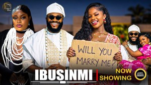 IBUSINMI