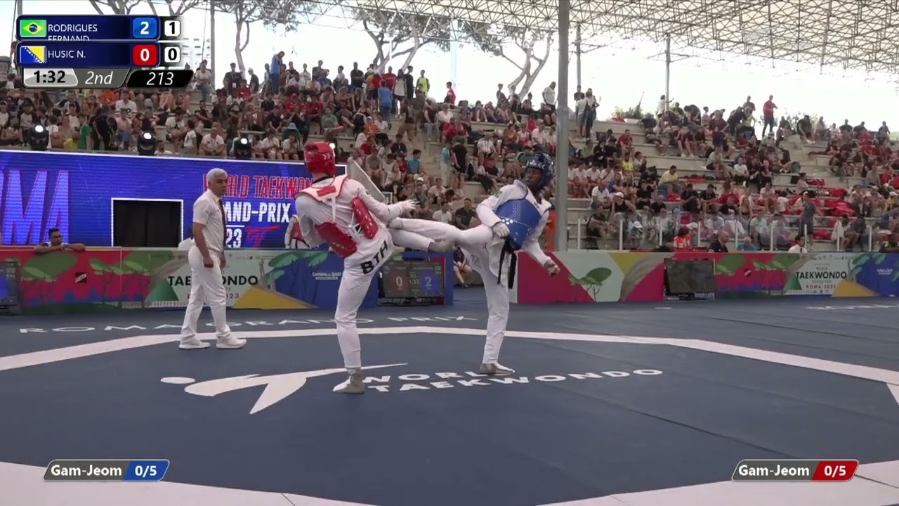 213 R16 MEN -80KG BRA RODRIGUES FERNAND BIH HUSIC Nedzad