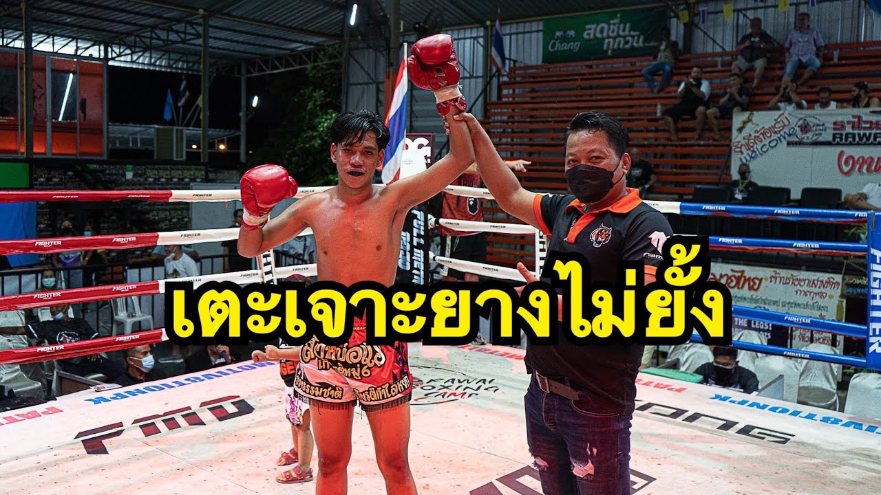 มวยไทยสุดมันส์ เตะเจาะยางคู่ชกยางแตกเพียงยกแรก Singborrae Kiatkamlaiyok vs Khemphet Sitkhujaroon backdrop
