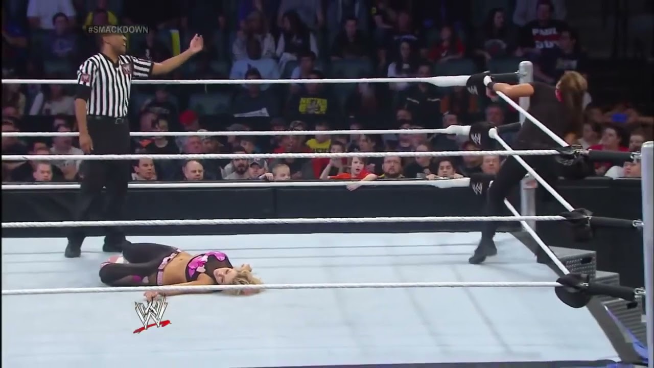 Natalya vs. Tamina Snuka: SmackDown, Dec. 6, 2013 background