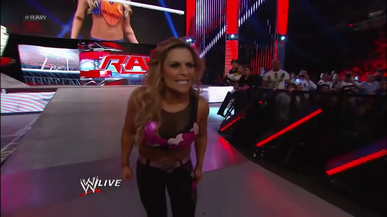 Divas 7-on-7 Survivor Series Elimination Tag Team Match: Raw, November 25, 2013 background