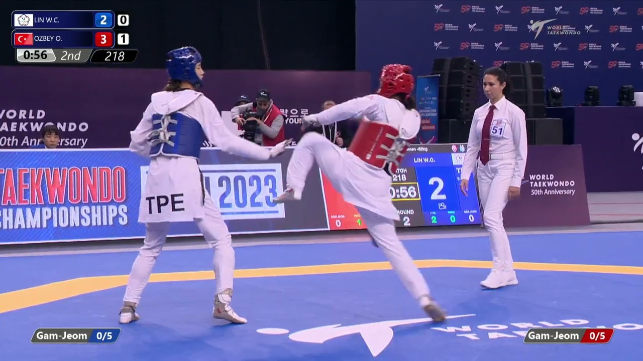 218 R16 Women 62kg TPE LIN W C TUR OZBEY O background