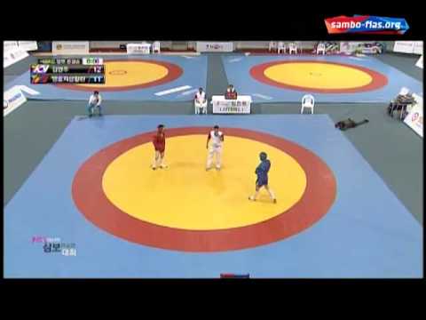 2013 Asian Sambo Championship in Seoul (South Korea) background