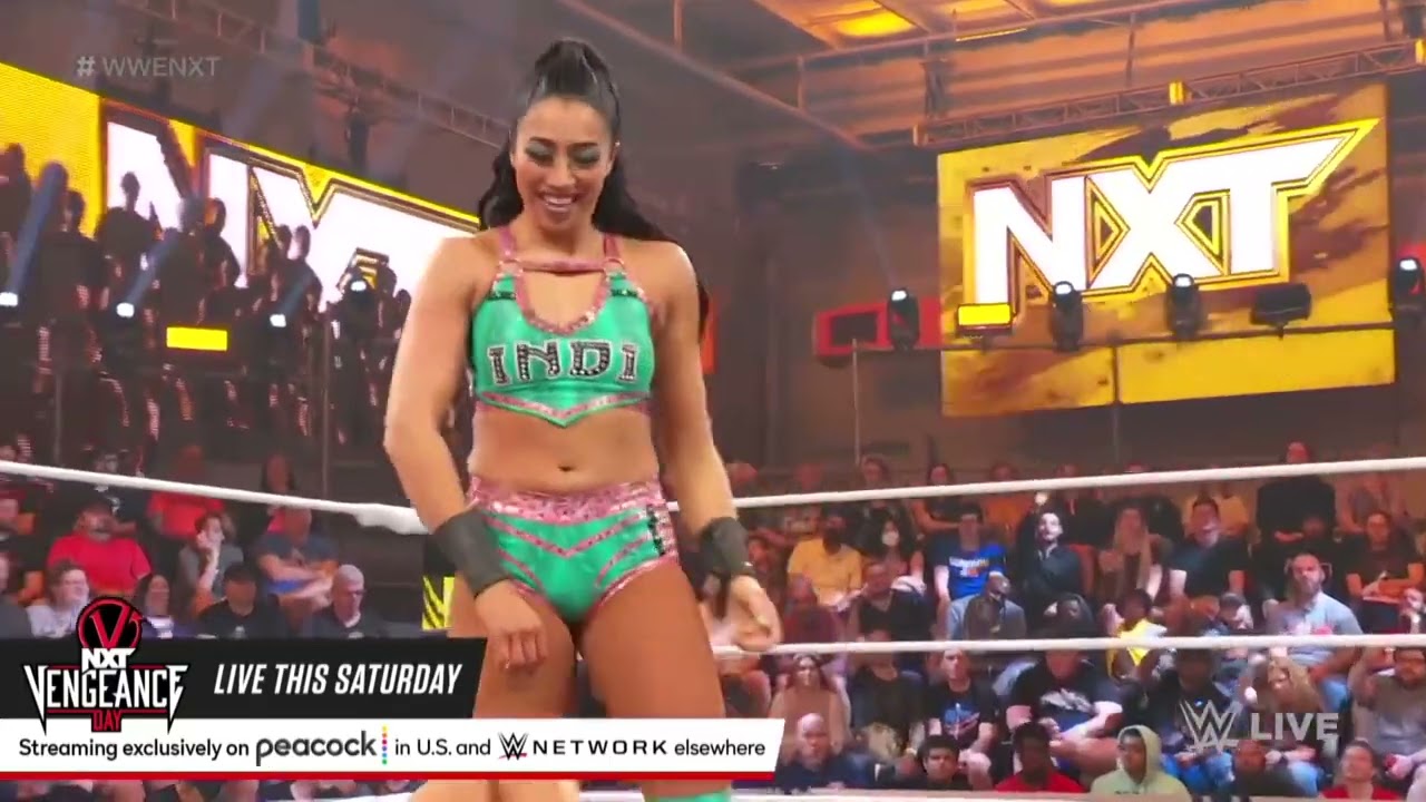 Zoey Stark vs. Indi Hartwell: WWE NXT, Jan. 31, 2023