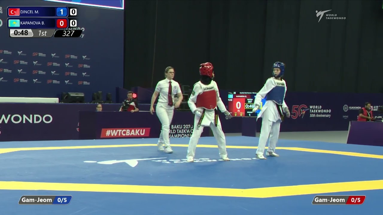 327 Quarter final Women 49kg TUR DINCEL M KAZ KAPANOVA B background