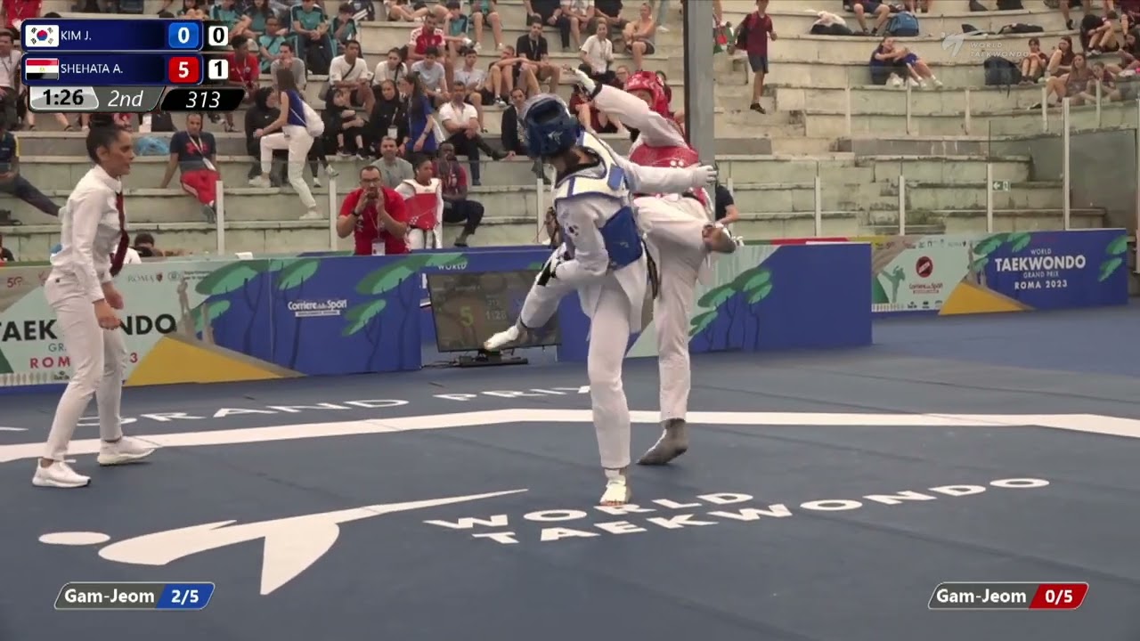 313 Round of 32 WOMEN W 67KG KOR KIM J EGY SHEHATA A background
