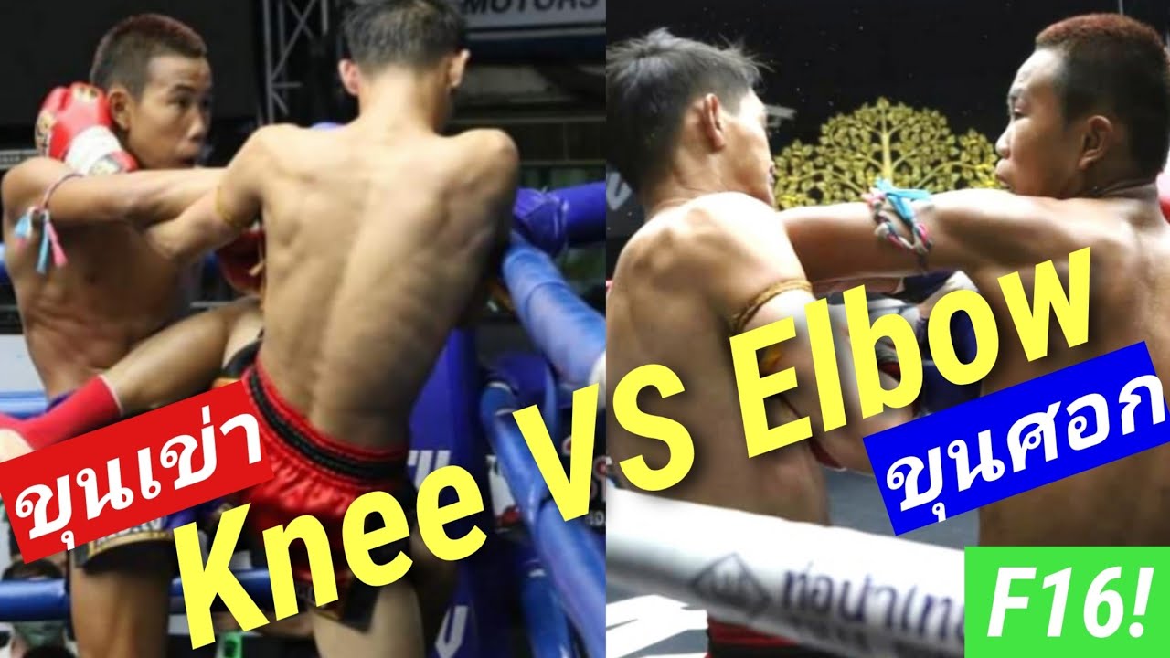 F16!ขุนเข่าปะทะขุนศอกสุดจัดปลัดบอกHighlight!Knee vs Elbow!ヒザVSヒジ!Muaythai fight!ムエタイ